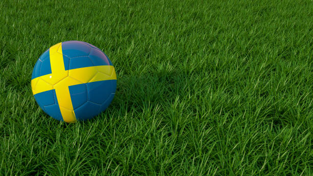 istock Sweden, Swedish Soccer Ball on a grass field 1206991375