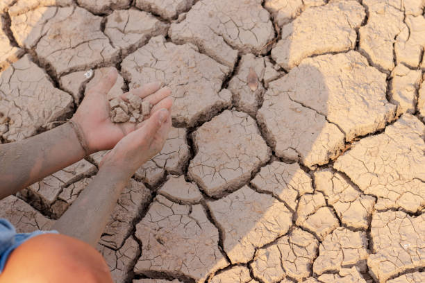 istock on dry ground, concept hope and drought 1206991430