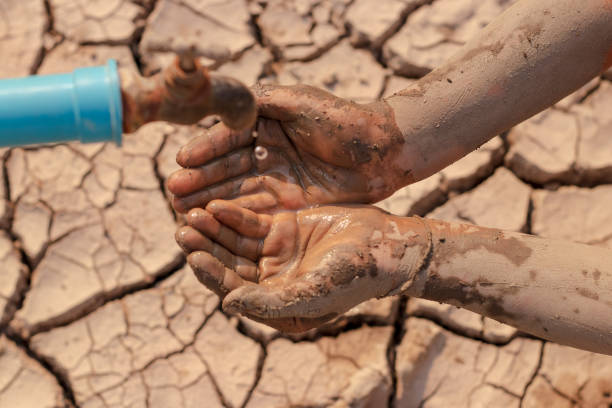 istock on dry ground, concept hope and drought 1206991466