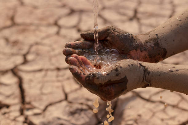 istock on dry ground, concept hope and drought 1206991468