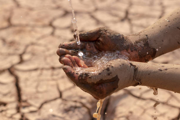 istock on dry ground, concept hope and drought 1206991477