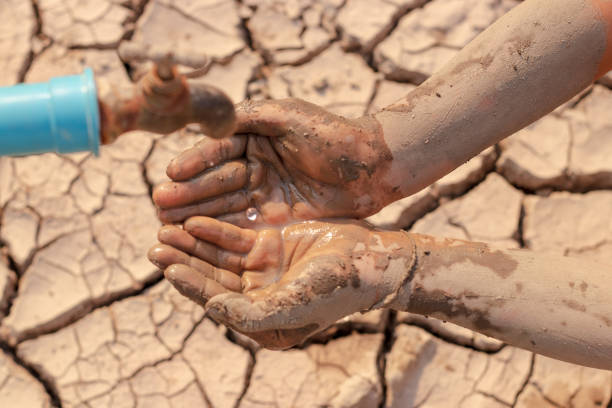 istock on dry ground, concept hope and drought 1206991523