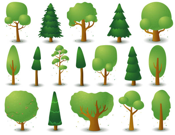 istock Big set of vector silhouettes of deciduous and coniferous trees. Game UI flat. Stylized spruce for logo, games or cards 1206991820