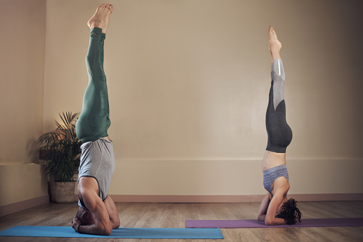 Full length shot of two unrecognizable yogis holding elbow stands during an indoor yoga session