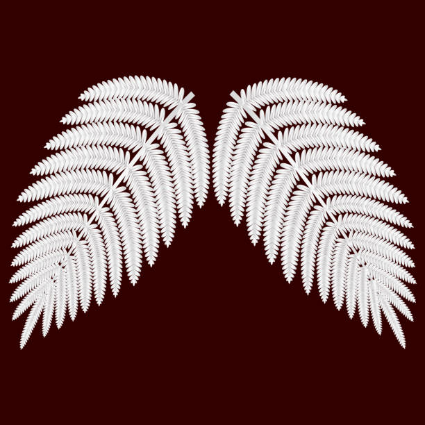 양 치 식물의 잎 ウラジロ 일러스트 벡터 - silver fern stock illustrations