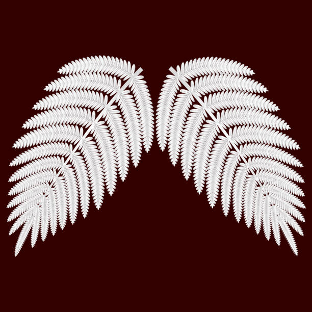 paproć roślina liście vladillo ilustracja wektor - silver fern stock illustrations