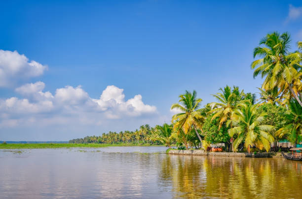 istock Backwaters of Kerala, India 1206998352