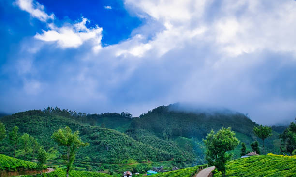 istock Foggy Valley in Kerala 1206998379