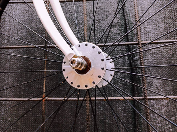 Bicycle wheels are arranged on a white surface. Various sizes and designs are visible. Sunlight highlights the rims and spokes, showing their structure and details.