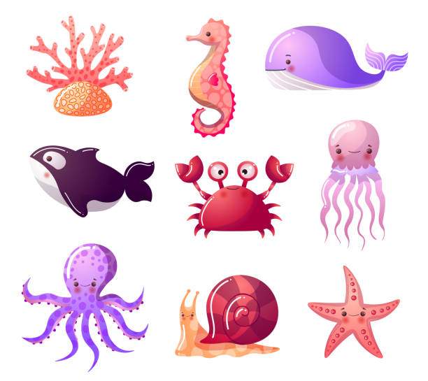 bunte reihe von meeresbewohnern. raster-illustration im flachen cartoon-stil von meerestieren - jellyfish sea life cnidarian sea stock-grafiken, -clipart, -cartoons und -symbole