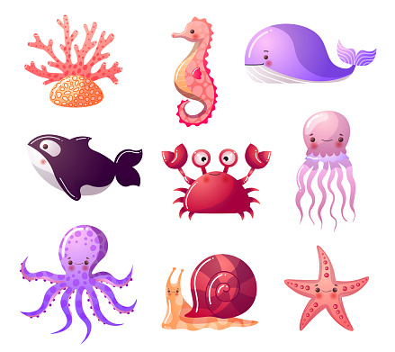 Big raster set of sea creatures. Cute cartoon animals. Underwater animals. Sea animals. Whale, whale killer, crab, jellyfish, seahorse, octopus, starfish, snail, coral Colorful raster icons set