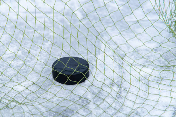 istock hockey puck in the goal net close-up 1207005648