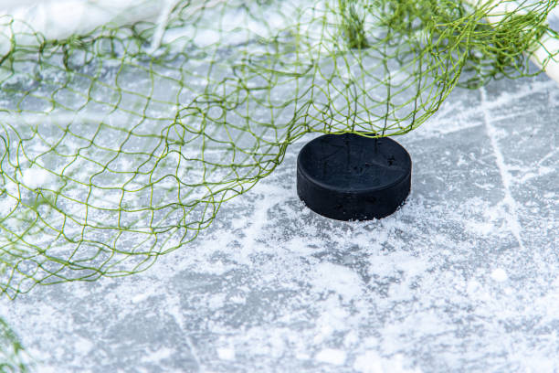 istock hockey puck in the goal net close-up 1207005688