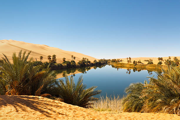 umm al-ma lake-oase in der wüste sahara, libyen - ubari stock-fotos und bilder