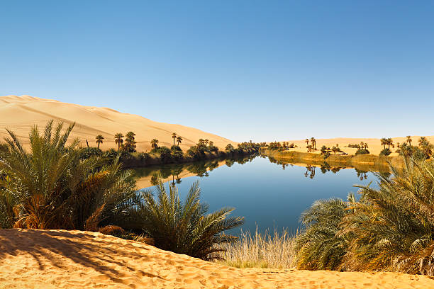 Umm al-Ma Lake - Desert Oasis, Sahara, Libya Umm al-Ma Lake - Idyllic oasis in the Awbari Sand Sea, Sahara Desert, Libya desert oasis photos stock pictures, royalty-free photos & images