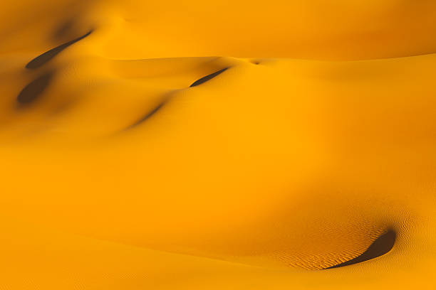 istock Dunes - Awbari Sand Sea, Sahara Desert, Libya 120700678