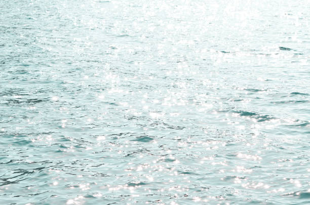 istock Sea water background. Nature background concept. - Image 1207008485