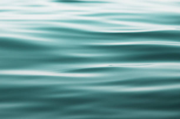 istock Ocean water background. Nature background concept. - Image 1207008601