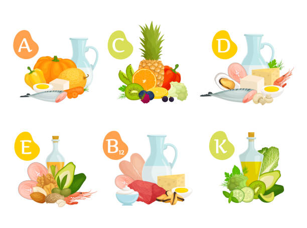 ilustrações, clipart, desenhos animados e ícones de um conjunto de vitaminas essenciais em vários alimentos. vetor. - vitamin k illustrations