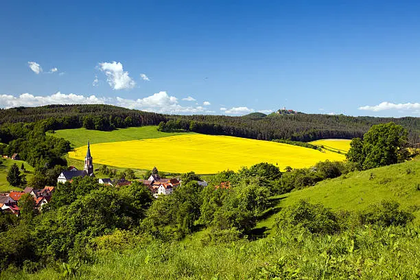 summer Landscape Unterbodnitz with castle Leuchtenburg on horizon