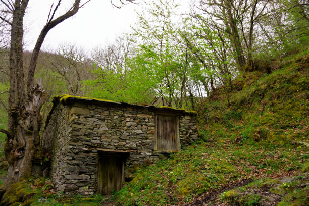 ancienne maison typique de la chaîne de montagnes decourel, folgoso do courel, lugo, galice, espagne - footpath autumn stone old photos et images de collection