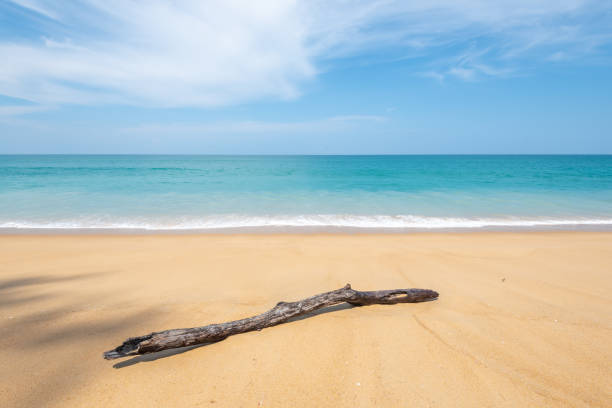Beautiful tropical beach with sand and sky on sunny summer day in Phuket,Thailand