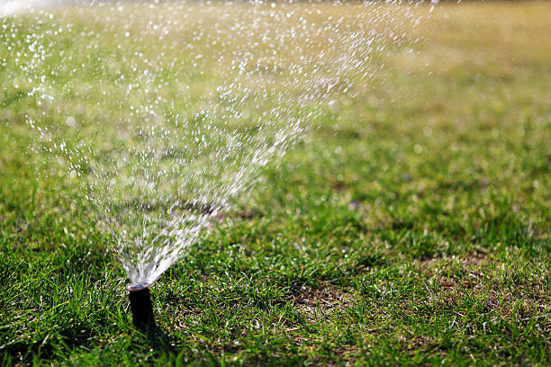 istock Garden Hose Sprinkler 120701349