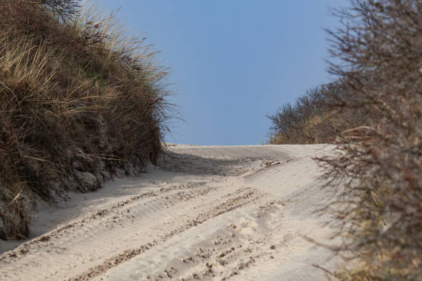 Tire tracks in the sand on the North Sea