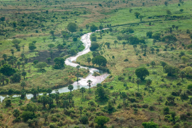 River Nile Aerial photo of River Nile cutting across a green plain of land in South Sudan. south sudan stock pictures, royalty-free photos & images
