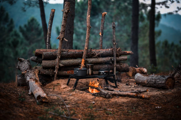 Primitive Bushcraft survival debris hut with campfire ring outside. Blanket, shelter, fire in the forest.