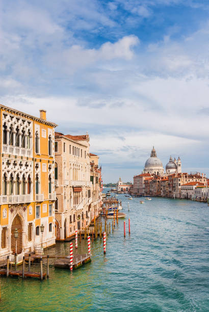 istock Salute Basilica view in Venice 1207017949