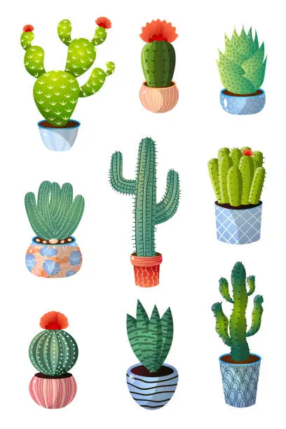 Vector illustration of Set of colorful green cactus in pot for home decoration