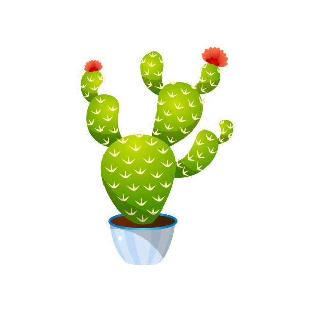 istock Green colorful bunny ears cactus in blue pot 1207018223
