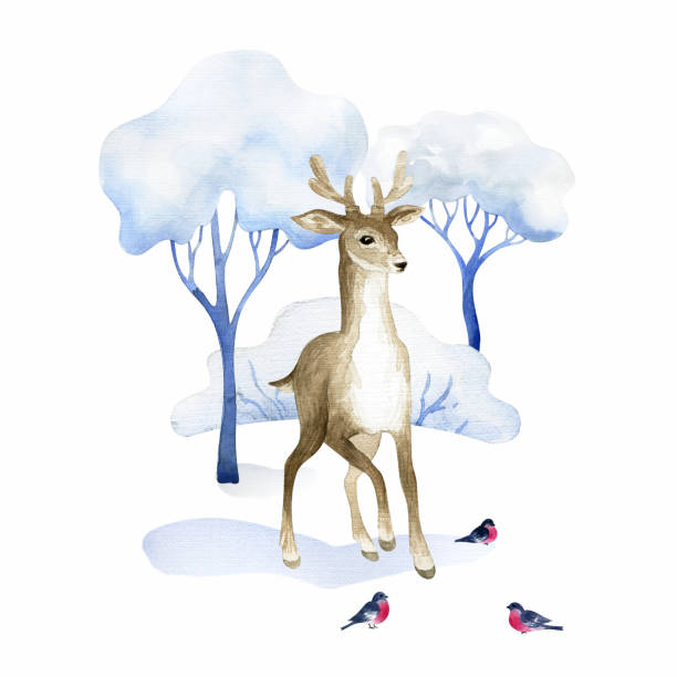 istock Beautiful deer. Hand painted watercolor illustration isolated on a white background. 1207020176