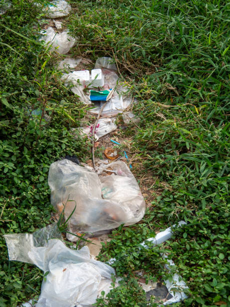istock The garbage that was dumped in the roadside park, Plastic waste 1207020358