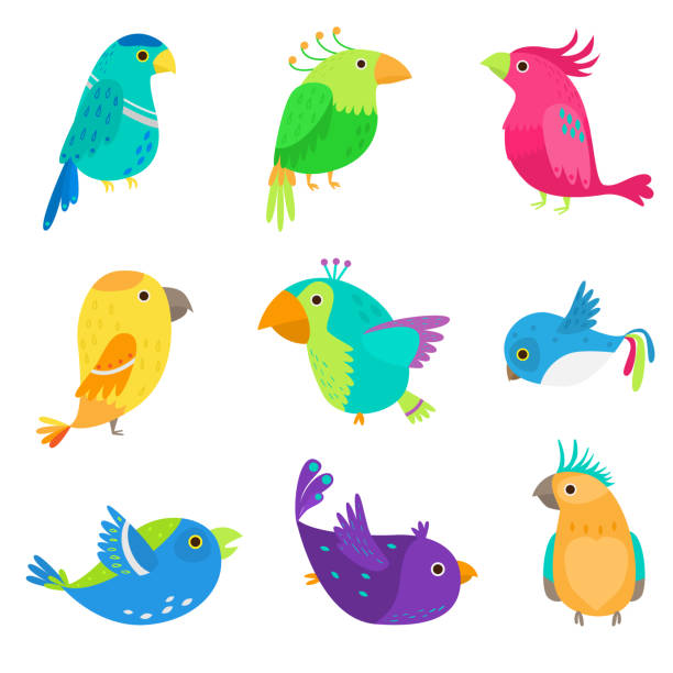 ilustraciones, imágenes clip art, dibujos animados e iconos de stock de conjunto de colorido loro exótico y tropical, pájaro lindo - cute bird