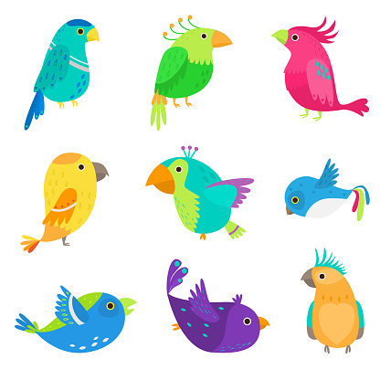 Set of colorful exotic and tropical parrot, cute bird and good friend. Flat style. Vector illustration on white background