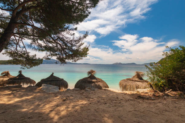 istock Umbrellas at Platja de Formentor beach, Majorca, Spain 1207020629