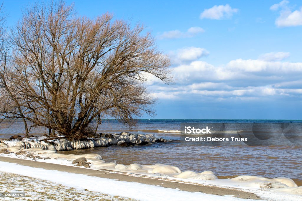 Lake Ontario shoreline on a sunny winter day. Hamlin, NY Ice covered break wall with a windblown tree. Small waves on the lake New York State Stock Photo