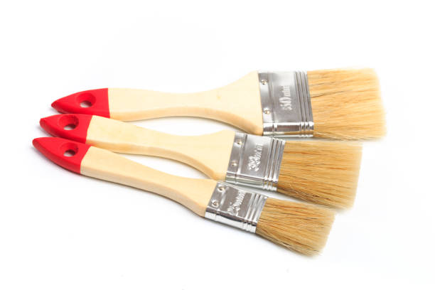 istock set of paint brushes  isolated on a white background 1207023806
