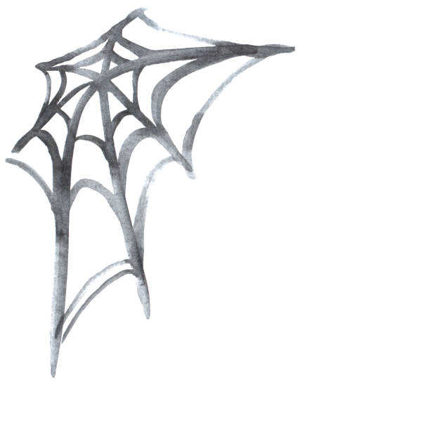 Hand Drawn Spider Web Isolated On White Background Design Element For  Halloween Stock Illustration - Download Image Now - iStock