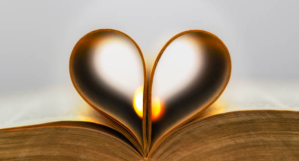 istock Love in the books 1207026661