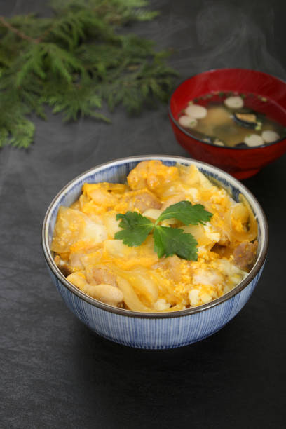 a dish of food that is a bowl of rice topped with chicken and eggs