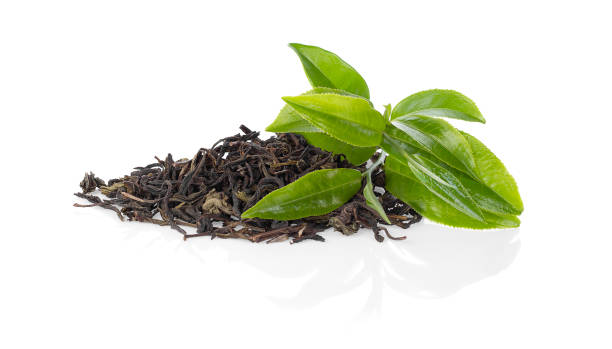 istock Green tea leaf fresh and dried isolated on white. 1207030954