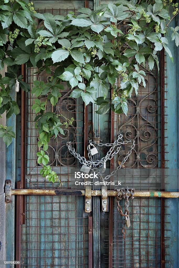 vintage door and overgrown plant Boarded up vintage metal door of an abandoned house and overgrown plant. Abandoned Stock Photo