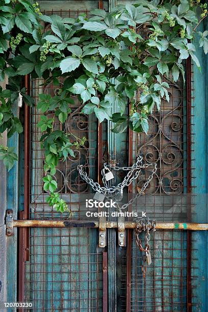 Vintage Door And Overgrown Plant Stock Photo - Download Image Now - Abandoned, Absence, Antique