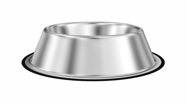 Stainless steel dog bowl isolated on white.