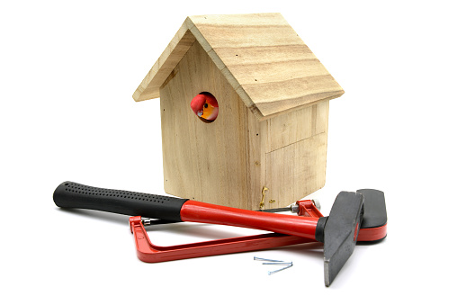 Bird nesting box with timber tools like saw. isolated background