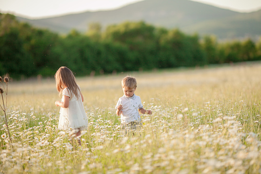 A boy and a girl 4-6 years old in white outfits running in a flowering meadow chamomile field