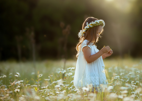 A beautiful child a girl in a white dress with a wreath of daisies on her head